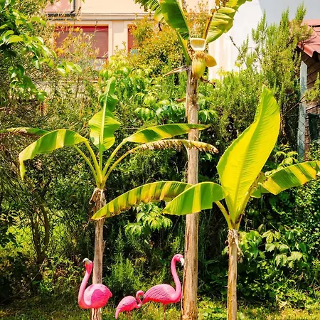 Frühstückspension House Garden Loft Baricella