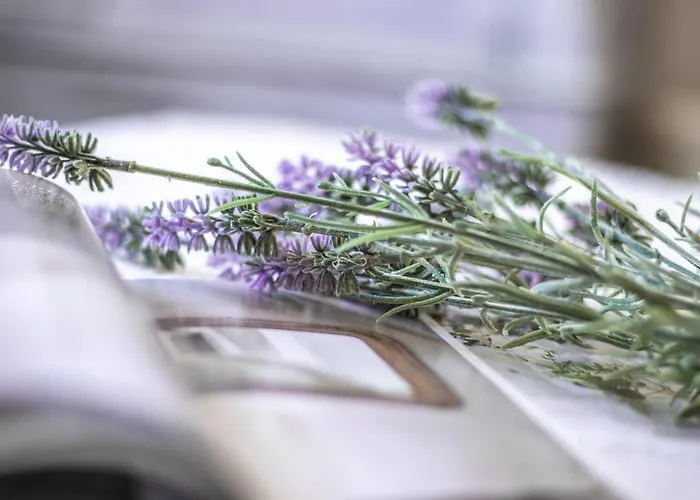 House Garden Loft فندق مبيت وإفطار *