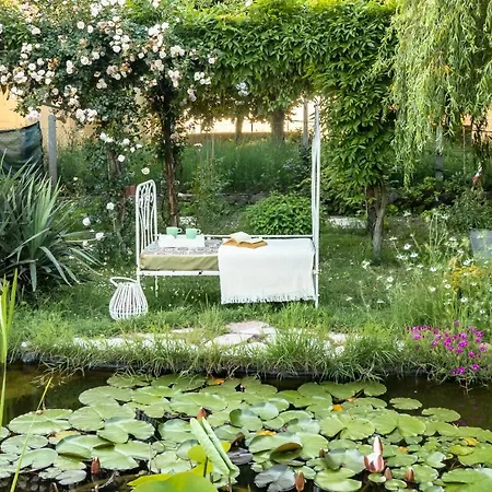 House Garden Loft
