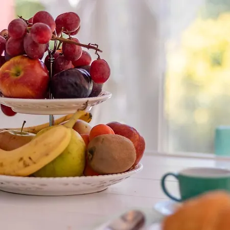 House Garden Loft Bed & Breakfast