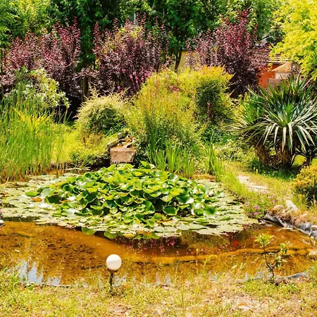 House Garden Loft Baricella