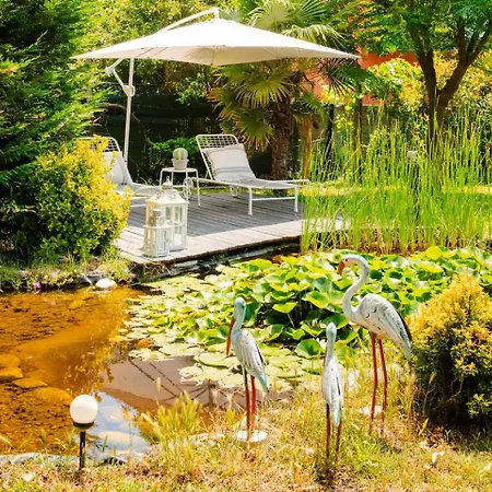 House Garden Loft * Baricella