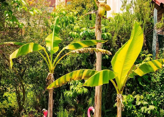Couette-café House Garden Loft Baricella